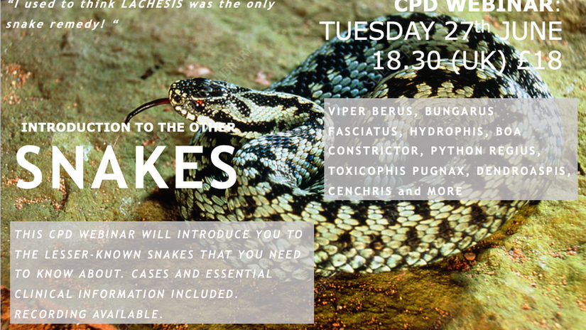 Lesser Known Snakes